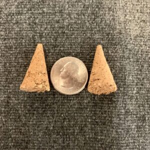 2 palo santo incense cones alongside a quarter. grey cloth