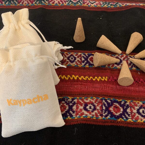 Ceremony Palo Santo Incense Cones (5 ct) and Bag